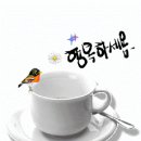 🍷기분좋은 아침입니다 이미지