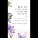 오늘의 '신앙 명언'(160강) 존 맥아더(John McArthur) 이미지