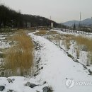 경안천 초부리 이미지