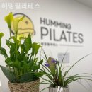 서초구필라테스 허밍필라테스 필라테스 PT 후기 필라테스 후기 사용자 경험 효과 운동 전후 변화 만족도
