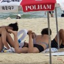 파라다이스 뷔페 이미지