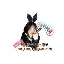 주식회사 디스트리