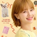 늘 사랑스럽개 이미지