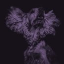 태화강펜션 이미지