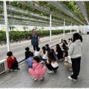 국가대표 열정태권도 이미지