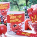토마토애드