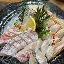 강남회 - 서구 | 강남회 , 들안길횟집 강남회에서 강남코스 오마카세 즐기고 온 후기