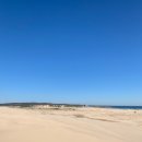 성두 농장 | 호주 시드니 포트스테판 사막투어 후기