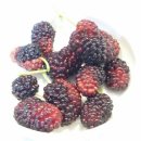 달이야기민박 이미지