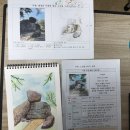 평생학습센터 작은도서관 | 화순공공도서관 2025 가을학기 평생학습(어반스케치) 수강 후기