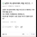 태양금 이미지