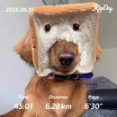 행복버스노동조합 | 2025년 4월(3) 속세없인 못 살아 정말 못 살아~~🧘