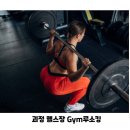 철이 GYM 이미지