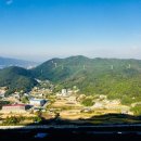 표교초교 이미지