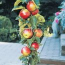 유천농장 이미지