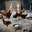 산골산장 이미지