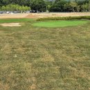 수목원파크 이미지