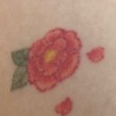 컴포트성형외과의원 이미지