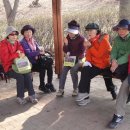 분당-281 이미지