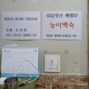 동신농장 | 2025년7월12일 주말 토요일 운장산 휴양림 계곡의 짧은천렵 언니들과 7월모임 피서를 가다.