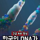 한국인 생체정보 중국으로...ㄷㄷㄷㄷㄷ(노보진-짱개업체, 건강관리협회 건물에 입주...)이거알고하냐 이미지