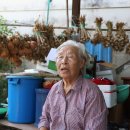 곡성-272 이미지