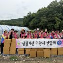 감자푸드