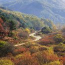비밀의정원 이미지