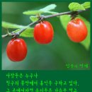 우정유통