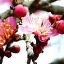 (주)유원 이미지