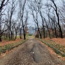 심곡천공원 이미지