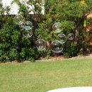 김밥세상25 이미지