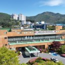 태백콜택시 이미지