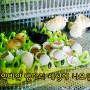 남당농장 이미지