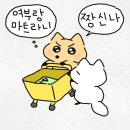 팍스마트 이미지