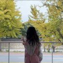 소프트다이브(주) | end of year