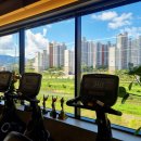 DM GYM 이미지