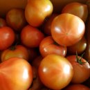 달창농장 이미지