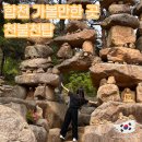 가야산돼지국밥 | 합천 여행 가볼만한 곳 천불천탑 주차장 입장료, 합천 돼지국밥 맛집