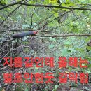 미련 백두대간 버섯산행.162 (악산) 이미지