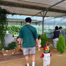 서아농장 | 경기도 파주 아이랑 가볼만한곳 먹이주기 체험하기 좋은 파주나눔농장 여름 방문 솔직후기