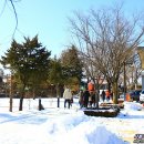 텃골가든식당 이미지