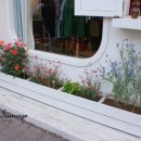 유남경 패션갤러리 이미지