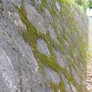 텃골공원 이미지