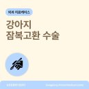 송정동물메디컬센터