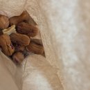 편의점사랑의왕역점 | 4/5 인천 문학 경기장 둘째 날 박효신 콘서트 솔직 후기(지하철 이용, 준비물,추위 정도)