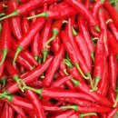 숲속농장 이미지