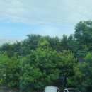 코아스코리아 이미지