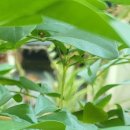 류내과의원 이미지