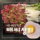 배곧동 스지맛집 배씨상회에서 육회냠냠 먹었어요 :)